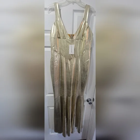 Gold Metallic Dress by Loragal. XL - Picture 2 of 7